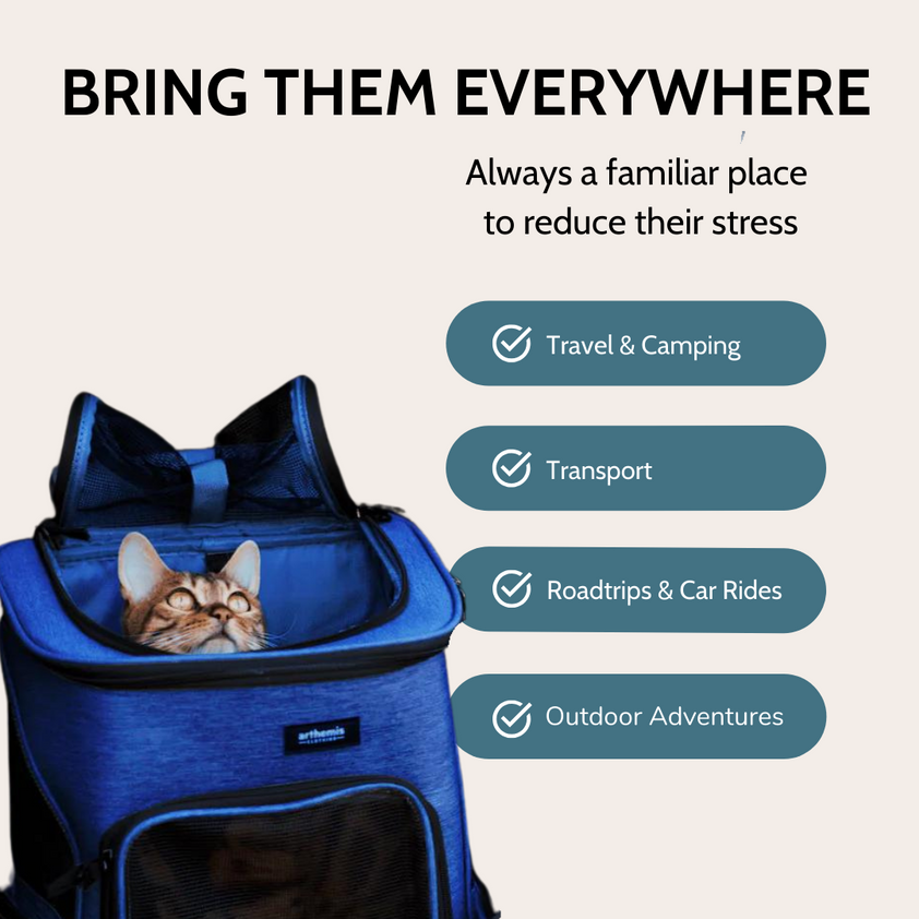 Activpaw Modern Pet Carrier - Hiking Cat Backpack - Dog Backpack ...