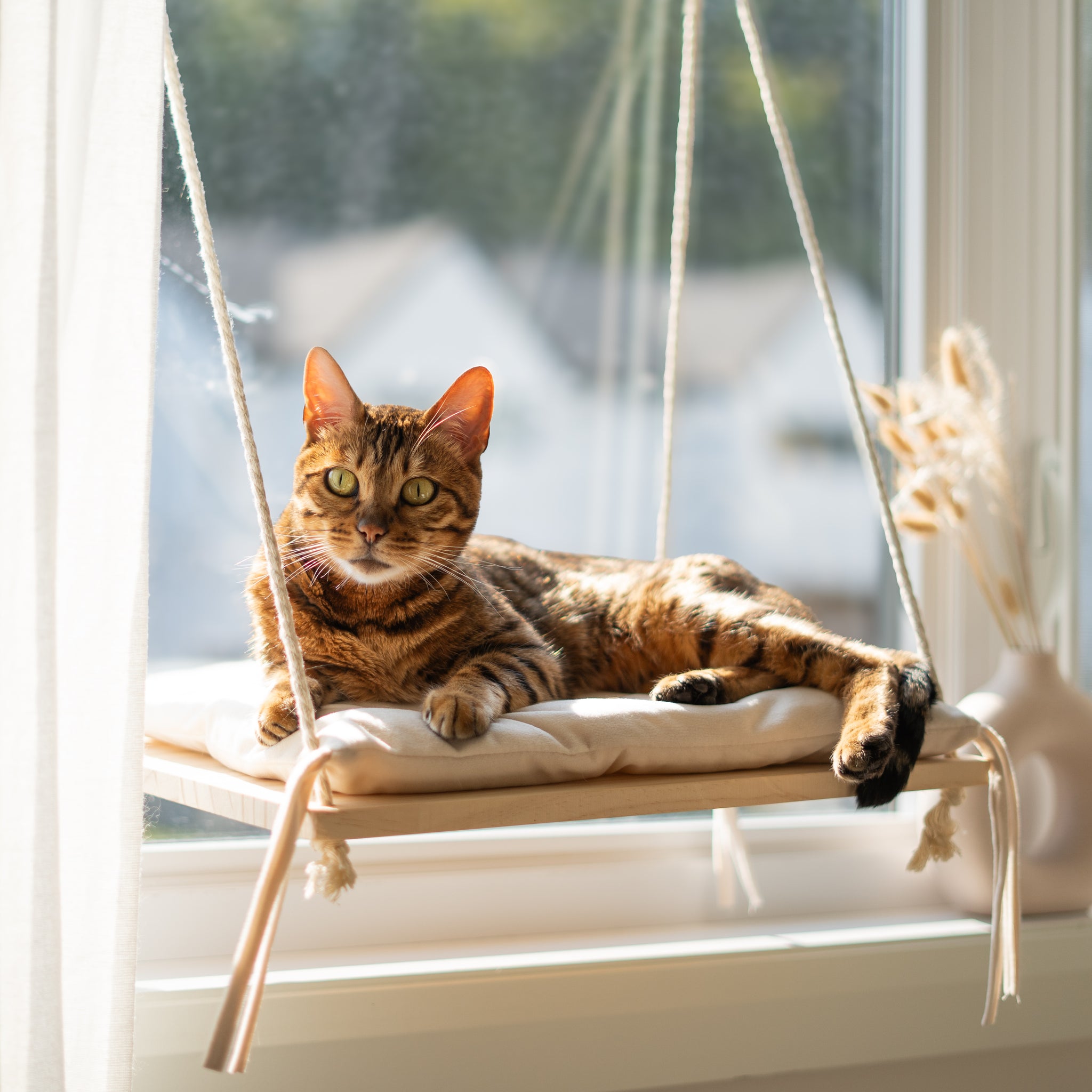 Diy cat window bed best sale