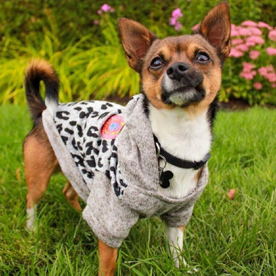 Coton Ouaté - Petites Pattes (Chiens) - arthemisclothing - arthemis clothing - artemis clothing