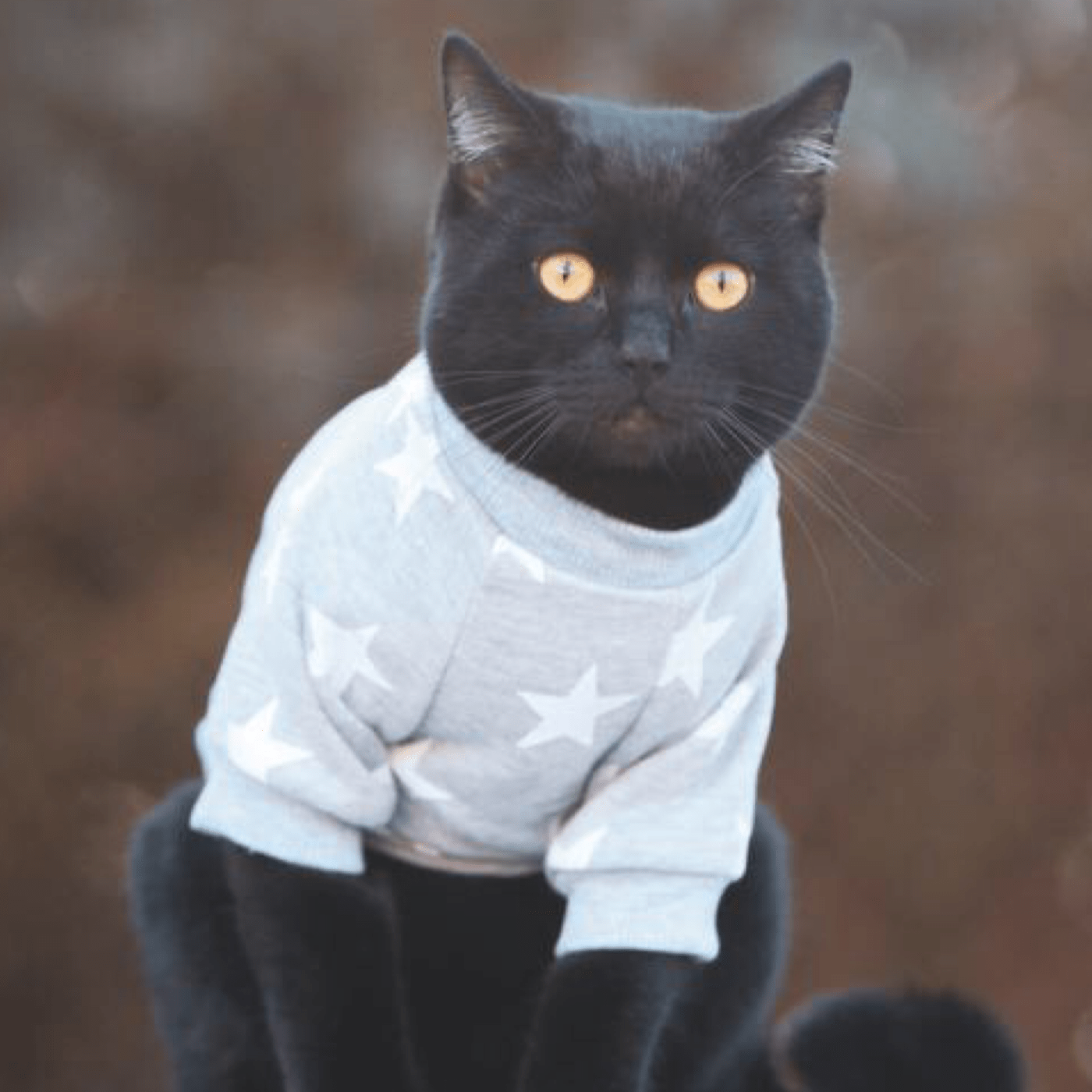 Coton ouaté - Amour - arthemisclothing - arthemis clothing - artemis clothing