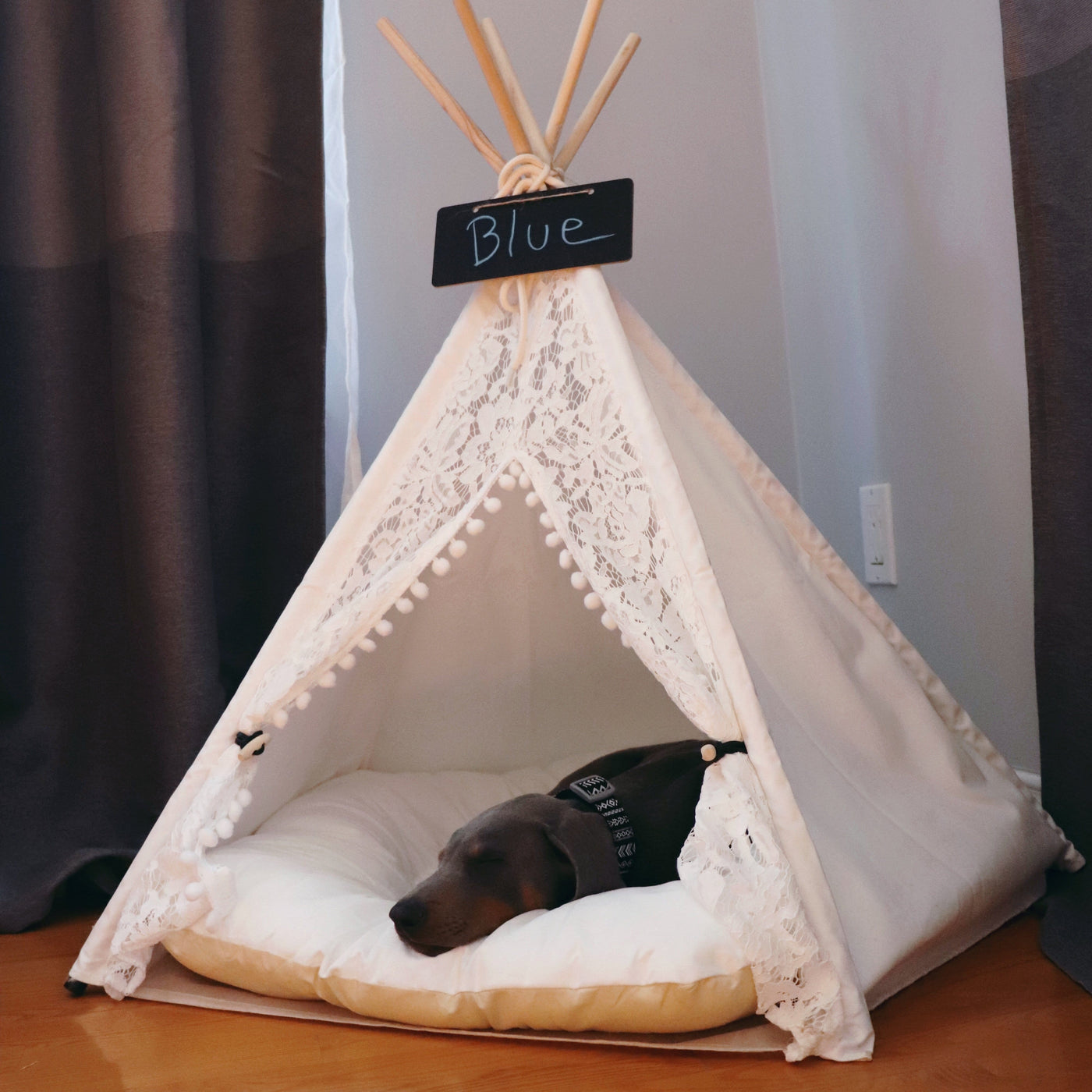 Luxury Pet Teepee