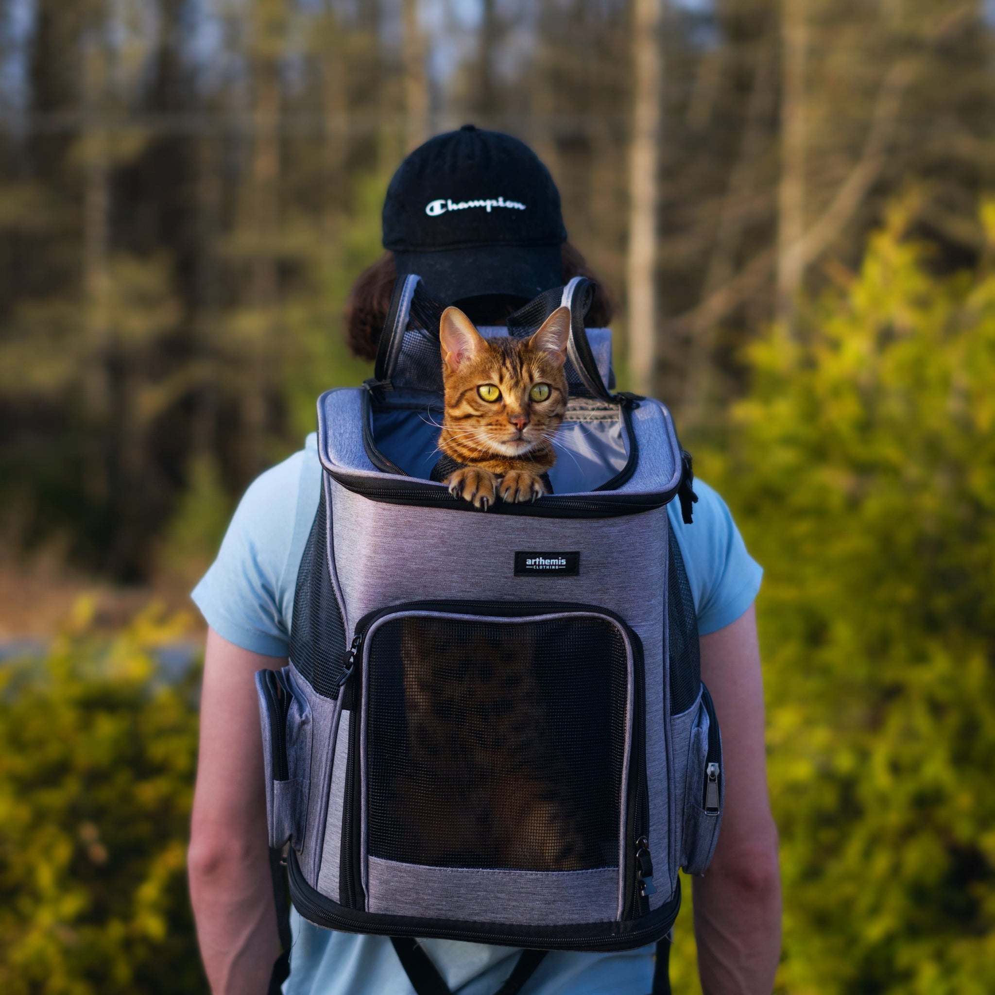 backpack for cats hiking Activpaw Modern Pet Carrier - Hiking Cat Backpack