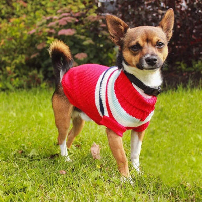 Sweater - Striped (Dog) - arthemisclothing - arthemis clothing - artemis clothing
