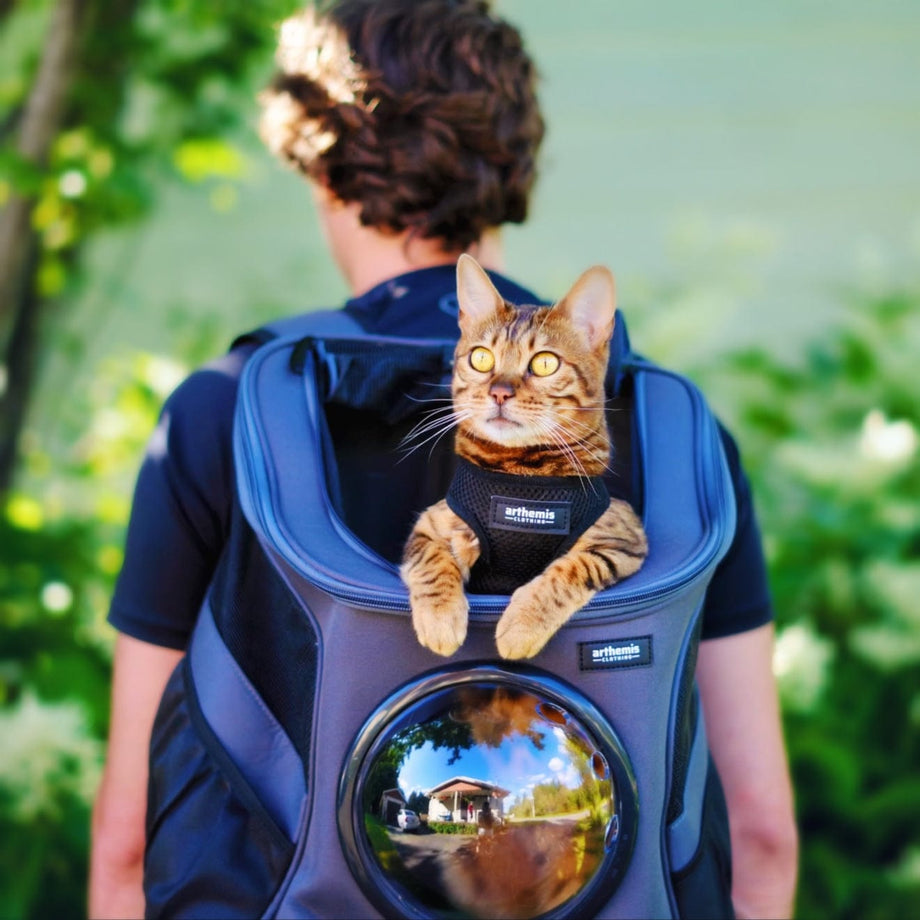 Adventure best sale cat backpack