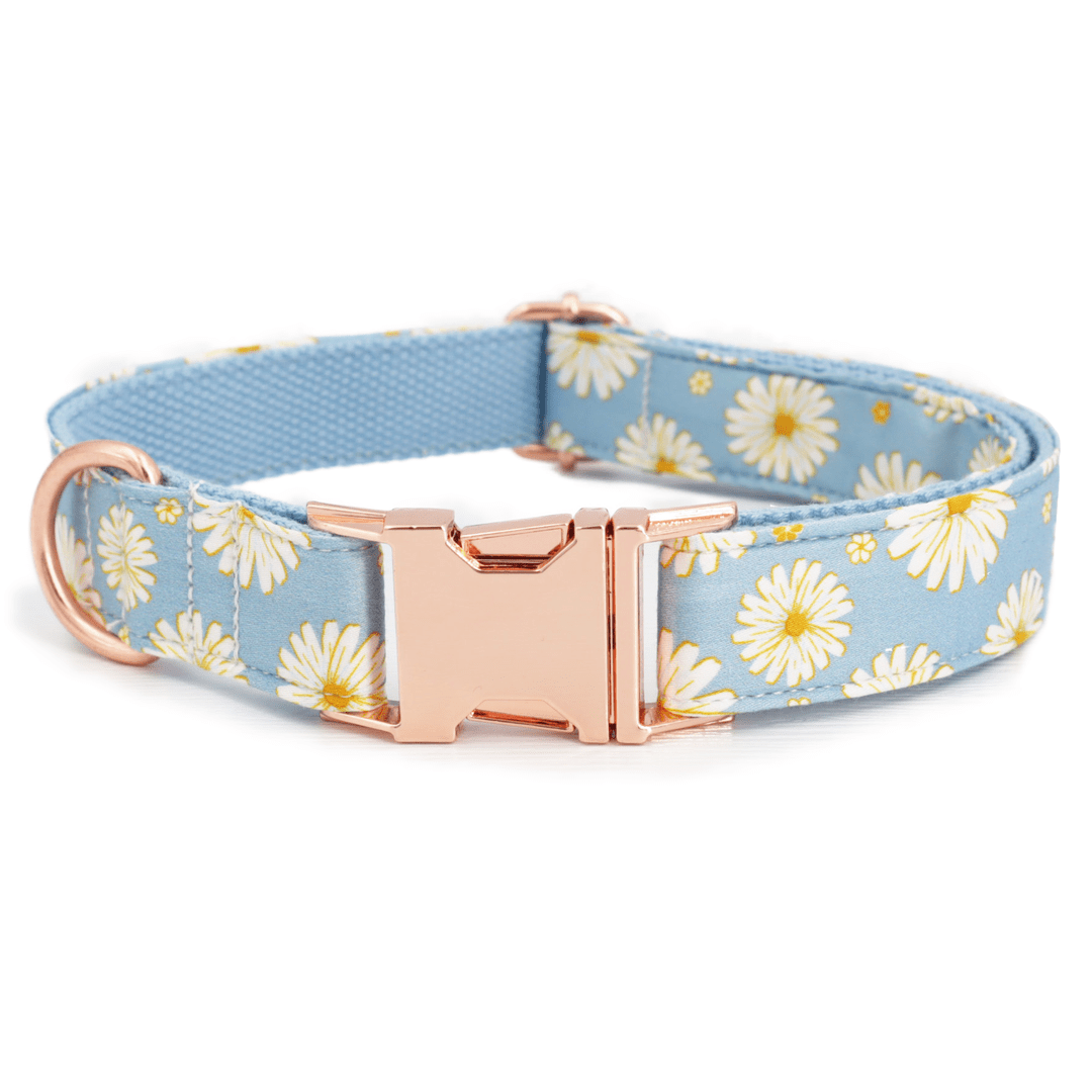 Blue Daisy Set