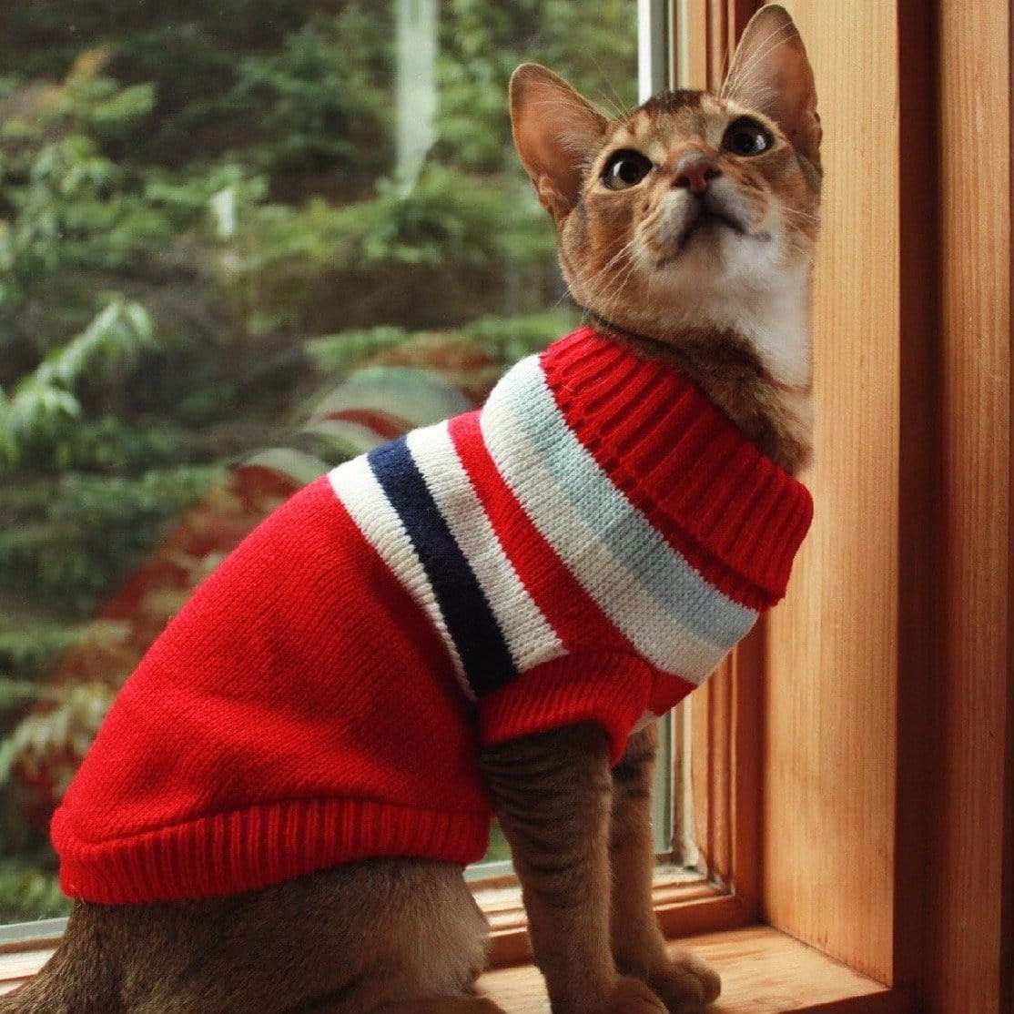 Striped Sweater (Cat) - arthemisclothing - arthemis clothing - artemis clothing