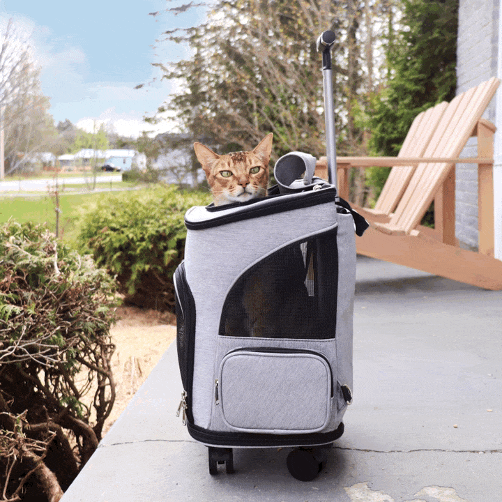 Traveling Pet Backpack Dog Carrier Cat Backpack arthemisclothing