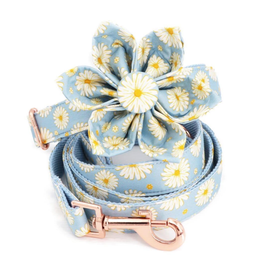 Blue Daisy Set