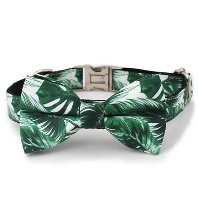 Tropical Set